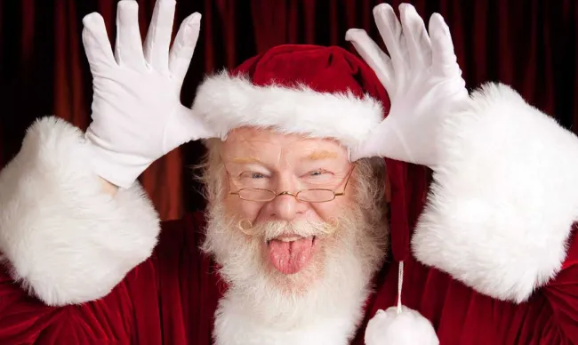 grappige kerstmoppen