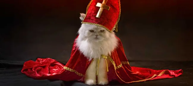Sinterklaas moppen