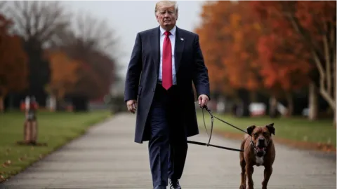 trump met hond